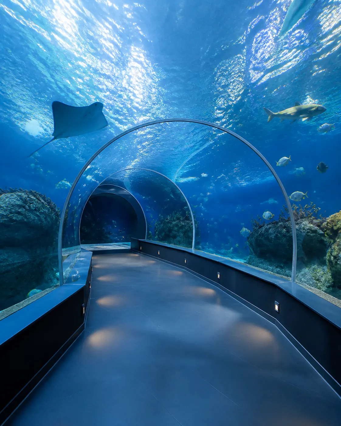 Sochi Discovery World Aquarium